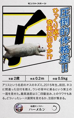 ���������꡼ No.010�Υ���ͥ������ / �֥�󥹥������ȥ饤���ס��ÿ��סȽ���ٺƶ���ɤ򳫺���