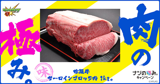 ���������꡼ No.008�Υ���ͥ������ / �֥�󥹥ȡס����˥�֡�ʪ��ӥ��꡼���פȤΥ���ܥ��٥�Ȥ�8��8���˳��롣�֥ʥĤζˤߡ��ץ����ڡ���ξ����³���ȸ�����