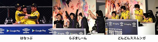 ꡼ No.005 | ֥󥹥ȥ饤סץĥȾݡȤ