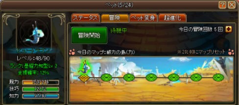 ������#012�Υ���ͥ���/�֥��祳�ʥ��ȡס����Х��������㥢���ƥ๹�����Ƽ￷�����ƥ�����