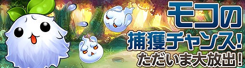 ꡼ No.004 | ֥祳ʥȡסȡBOXΨåס̥åץ٥