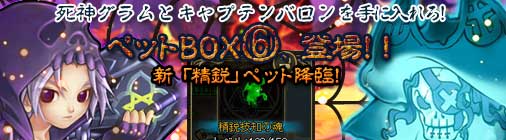画像ギャラリー No.001のサムネイル画像 / 「チョコナイト」,人気ペットが入った「ペットBOX(6)」の再販を開始