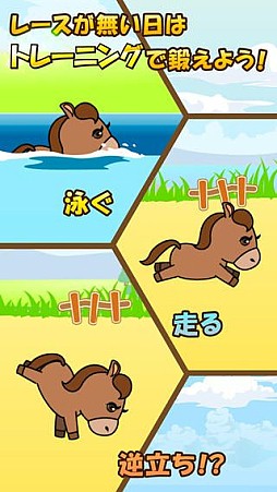 �ѥ�����