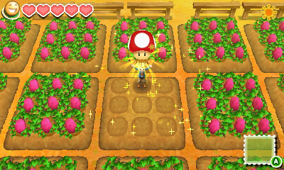 ꡼ No.008Υͥ / Ҿʪ Ĥʤ뿷ŷϡפ2014ǯ227ȯ䡣ǿξҲ֥ѡޥꥪ֥饶פȤΥܤξ