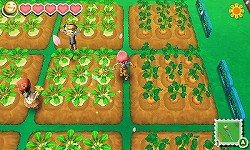 画像ギャラリー No.004のサムネイル画像 / 「牧場物語 つながる新天地」の特徴がひと目で分かる「まるわかりコミック」が公開に