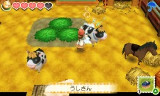 ������#007�Υ���ͥ���/���Ҿ�ʪ�� �Ĥʤ��뿷ŷ�ϡס�����ưʪ����©��֥��ե���פξ������餫�ˡ��Ķ���������ưʪ�����ä򤷤褦