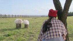 画像ギャラリー No.005のサムネイル画像 / 「牧場物語 つながる新天地」のテレビCMが本日から全国で放映開始