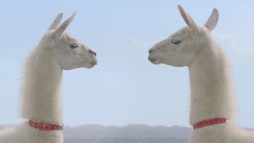 画像ギャラリー No.006のサムネイル画像 / 「牧場物語 つながる新天地」のテレビCMが本日から全国で放映開始