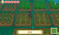 画像集#010のサムネイル/人気シリーズ最新作「牧場物語 つながる新天地」の1か月を実体験。ほのぼの箱庭牧場ライフは,けっこうハードな日常だ