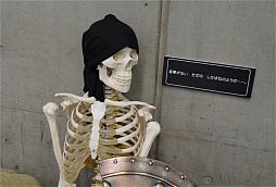 ꡼ No.025 | 륤μ֤򽸤ᡤ򤭤ȤѤդѤաɤޤǳڤ롪֥ꥢæХ ɥ饴󥯥ȡⲦޤæС١ץݡ