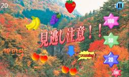 �������ܥ��祤��