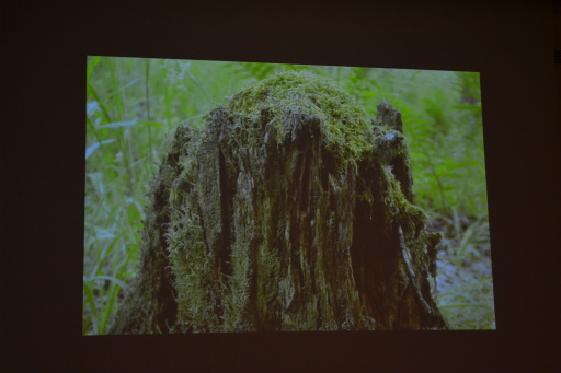 ꡼ No.003 | ƥã뾽ȤʤäפκʡSamorost 3ס΢줿åݡ