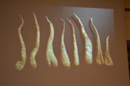 ꡼ No.004 | ƥã뾽ȤʤäפκʡSamorost 3ס΢줿åݡ