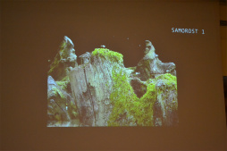 ꡼ No.007 | ƥã뾽ȤʤäפκʡSamorost 3ס΢줿åݡ