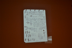 ꡼ No.014 | ƥã뾽ȤʤäפκʡSamorost 3ס΢줿åݡ