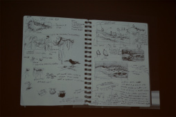 ꡼ No.016 | ƥã뾽ȤʤäפκʡSamorost 3ס΢줿åݡ