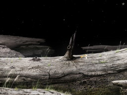 ꡼ No.009 | Samorost 3פۿϡ826ˤEAǡStarr Mazer: DSPפ꡼