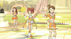 ꡼ No.054 | ֥ɥޥ եס8˼Ͽ륳ƥĤɲåʥꥪ3ѥåʬۿ