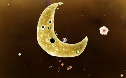 ꡼ No.003 | BotaniculaפȡMachinariumפܤΥ桼ۿ