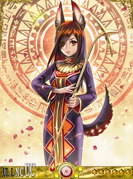 ������#005�Υ���ͥ���/���������������ҥ�ץۥ磻�ȥǡ����ͤθ��ꥯ�����Ȥ�������������