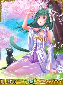 ������#003�Υ���ͥ���/���������������ҥ�״��ָ���Ǥ��ָ����ͤΥ������ҥ᤬�������Ȥ��о�