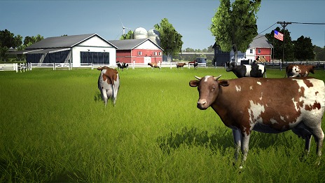 ꡼ No.008Υͥ / PCȥ֥ꥫ ߥ졼 2013 ɥǥ ܸǡפ1129ȯꡣץʤϤҾʤ褦