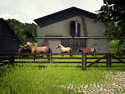 ꥫ ߥ졼 2013 ɥǥ ܸ