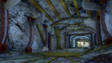 ꡼ No.007Υͥ / ֥ϥʥ3 GOLD׸Ȥץ󡣿ʥ󥸥եɤʤɤξ󤬸