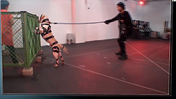 画像ギャラリー No.003のサムネイル画像 / 「METAL GEAR SOLID V: GROUND ZEROES」のメイキングムービーが公開。フォトリアルな映像がどのようにして作られたのかが垣間見える内容