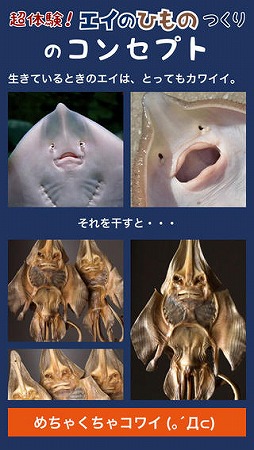 Ķ�θ��������ΤҤ�ΤĤ���