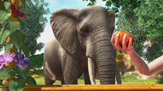 ������#005�Υ���ͥ���/��Zoo Tycoon��Xbox 360�Ǥ�3��20����ȯ����ꡣXbox One�Ǥ�ǯ���ȯ���ͽ��
