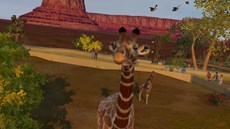 ������#006�Υ���ͥ���/��Zoo Tycoon��Xbox 360�Ǥ�3��20����ȯ����ꡣXbox One�Ǥ�ǯ���ȯ���ͽ��