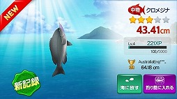 LINE �ե��å��奢������