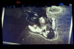 ꡼ No.058 | ʳADV꡼ǿCHAOS;CHILDפϤᡤ󡣥饤֥٥ȡLive5pb.2013ס5pb.GamesάȯɽפͤϤ