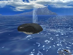 ꡼ No.010 | 䥤륫򻣱ƤǤ䤷ϥץ֥ꥢۥפۿ