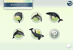 ꡼ No.012 | 䥤륫򻣱ƤǤ䤷ϥץ֥ꥢۥפۿ