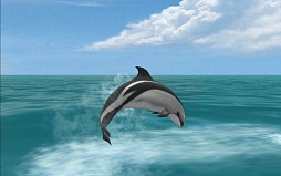 リアルホエール