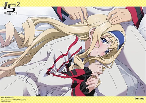 画像集#004のサムネイル/「IS2 イグニッション・ハーツ」テレカやタペストリーなど店舗特典第2弾が公開