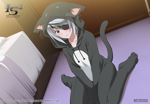 画像集#005のサムネイル/「IS2 イグニッション・ハーツ」テレカやタペストリーなど店舗特典第2弾が公開