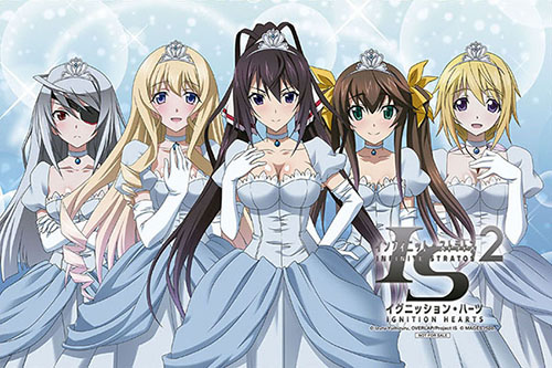 画像集#008のサムネイル/「IS2 イグニッション・ハーツ」テレカやタペストリーなど店舗特典第2弾が公開