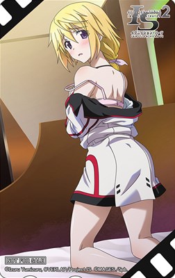 画像集#009のサムネイル/「IS2 イグニッション・ハーツ」テレカやタペストリーなど店舗特典第2弾が公開