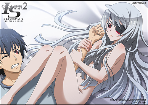 画像集#011のサムネイル/「IS2 イグニッション・ハーツ」テレカやタペストリーなど店舗特典第2弾が公開