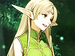 MMORPG֥ɥﵭ饤פΥץߥ९ɦ¥ƥȤȡ2000GMȸ礨륲⥤٥Ȥ