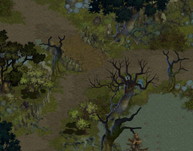 画像ギャラリー No.004のサムネイル画像 / 「ロードス島戦記オンライン」がアップデート“Expansion II”を実装。レベルキャップが45まで開放,グレードの高いフィールドや装備の実装も