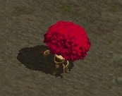 ���������꡼ No.003�Υ���ͥ������ / �֥����ɥ����ﵭ����饤��פǥ���դ���ʼ����館�륭���ڡ��󳫻�