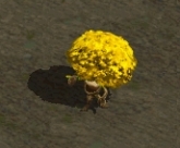 ���������꡼ No.004�Υ���ͥ������ / �֥����ɥ����ﵭ����饤��פǥ���դ���ʼ����館�륭���ڡ��󳫻�