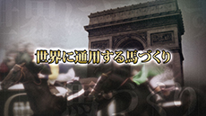 ������#001�Υ���ͥ���/��Winning Post 8�ס����ȡ��꡼���פ�ή�줬���餫�ˡ��ץ쥤�䡼�򥵥ݡ��Ȥ��Ƥ�������䡤�����礤�뺧�����о줹������Ҳ�