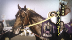 ������#002�Υ���ͥ���/��Winning Post 8�ס����ȡ��꡼���פ�ή�줬���餫�ˡ��ץ쥤�䡼�򥵥ݡ��Ȥ��Ƥ�������䡤�����礤�뺧�����о줹������Ҳ�