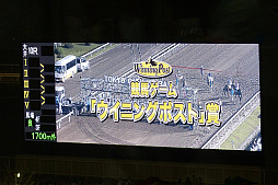 ꡼ No.012 | ֥˥󥰥ݥȡƥϡץܥ٥ȤͤݡȡWinning Post 8 2016פˤ졼ߥ졼η̤ϡ