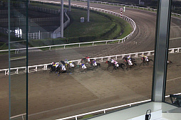 ꡼ No.013 | ֥˥󥰥ݥȡƥϡץܥ٥ȤͤݡȡWinning Post 8 2016פˤ졼ߥ졼η̤ϡ